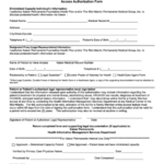 Act For A Family Member Access Authorization Form Printable Pdf Download