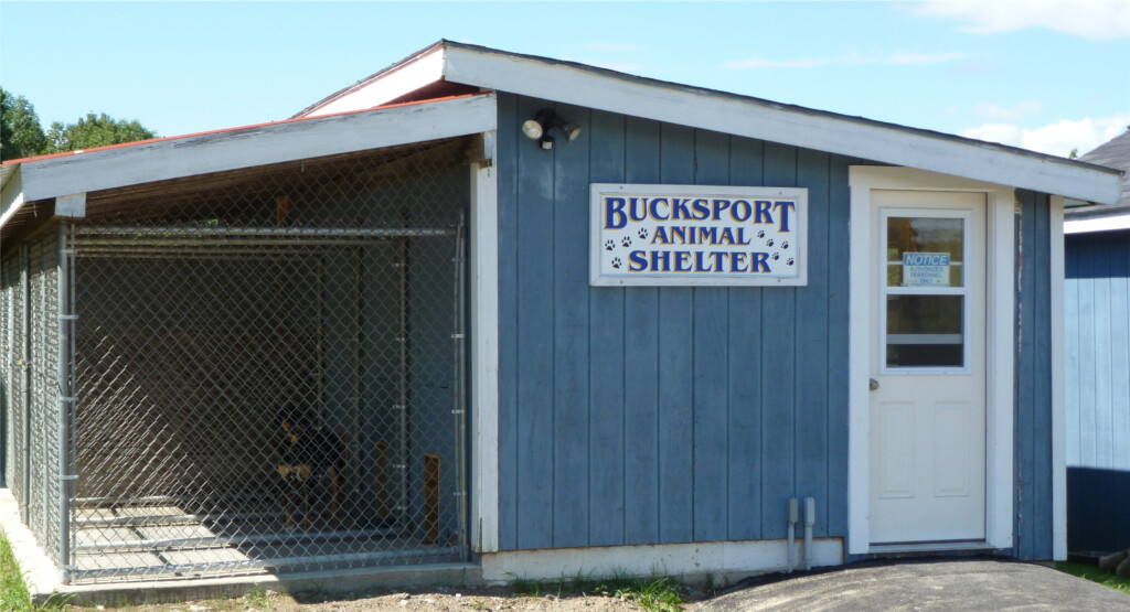 Animal Control Town Of Bucksport Maine