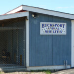 Animal Control Town Of Bucksport Maine