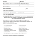 Buckeye Health Plan Waiver Provider Instructions Application Fill