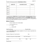 Car Payment Contract Template Free Printable Documents