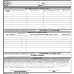 CBIZ Flex Flexible Benefits Plan Claim Form 2008 Fill And Sign