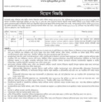 District Council Job Circular 2020 PDF Download Top Circular BD