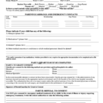 Emergency Medical Authorization Form Printable Pdf Download