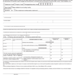 Fillable Form Co Caa Application To Local Granting Authority For