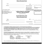 Fillable Local Services Tax Direct Payment Form Printable Pdf Download