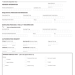 Florida Authorization Form Fill Online Printable Fillable Blank