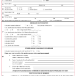 Form 11318 Download Fillable PDF Or Fill Online State Health Plan