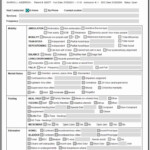 Nursing Home Care Plan Template Luxury 27 Of Nursing Clinical