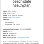 Peach State Health Plan On The App Store