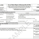 Reporting Disclosure Requirements For ERISA Accounting Portal