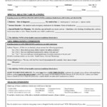 Student Health Information Form By Lil Curry Issuu