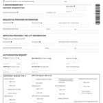 Submit Prior Authorizatino Sunshine Medicaid Fill Online Printable