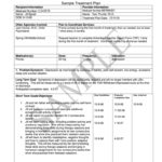 Treatment Plan Template Fill Out And Sign Printable PDF Template