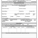 UPMC Health Plan Prior Authorization Form 2012 Fill And Sign