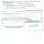 WELLCARE HEALTH PLANS INC FORM 10 Q EX 4 1 COMMON STOCK