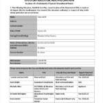 11 Healthcare Plan Templates PDF Word