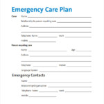12 Care Plan Templates Sample Templates