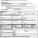 15 Medical Prior Authorization Form Templates PDF DOC