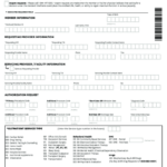 2021 FL Sunshine State Health Plan Prior Authorization Fax Form Fill