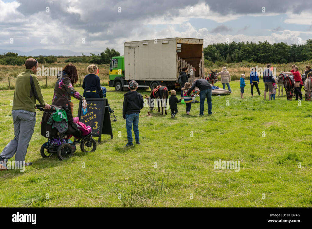 A Queue Forms At The Anglesey Show For Donkey Rides Stock Photo Alamy