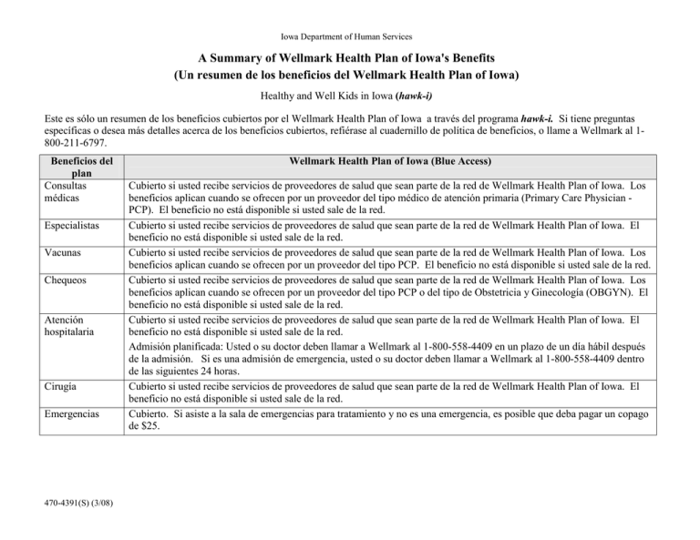 A Summary Of Wellmark Health Plan Of Iowa s Benefits Un Hawk I