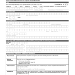 Akc Insurance Claim Form Fillable Online Clubs Akc AMERICAN BRITTANY