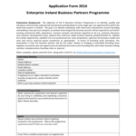 Application Form Enterprise Ireland
