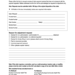 Buckeye Health Plan Prior Authorization Fax Form PlanForms