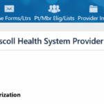 Driscoll Health Plan Step By Step Prior Authorization Form 2022