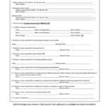 Emergency Medical Care Plan Template Printable Pdf Download