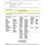 Fallon Community Health Plan PDF Form FormsPal