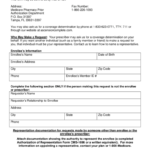 Fillable Online Buckeye Health Plan Prior Authorization Form Fax Email