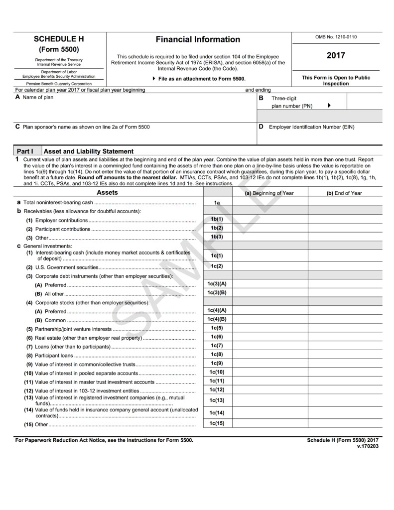 Form 5500 Instructions 5 Steps To Filing Correctly