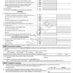 Form 5500 Instructions 5 Steps To Filing Correctly