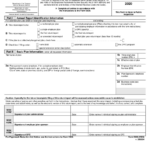 Form 5500 Pdf Fillable And Editable PDF Template