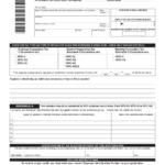 Form NYC EXT 1 Download Printable PDF Or Fill Online Application For