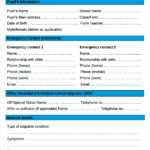 FREE 10 Sample Health Plan Templates In PDF MS Word