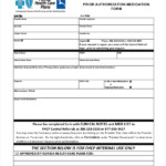 FREE 8 Sample Prior Authorization Forms In PDF MS Word