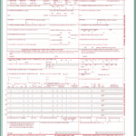 Free Hcfa 1500 Claim Form Template Form Resume Examples Dp3OOgO30Q