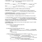Free Medical Patient Payment Plan Agreement PDF Word EForms