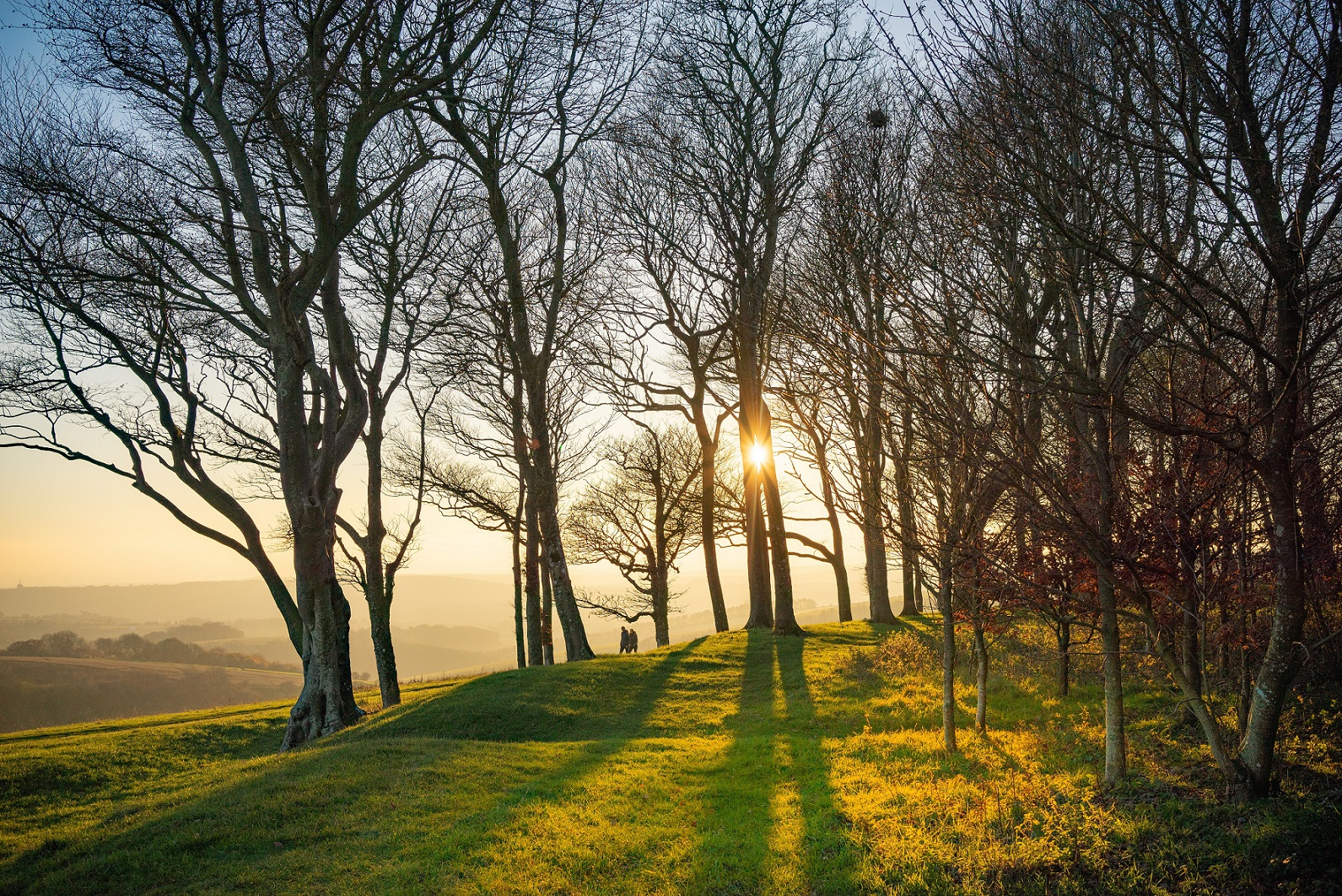 Home South Downs National Park Authority