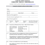 IE Carlow Town Council Parking Permit Application Form Fill And Sign