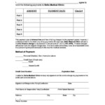 Medical Payment Plan Agreement Template SampleTemplatess