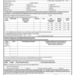 Medical Physician Order Form Fill Out Sign Online DocHub