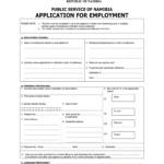 Namibia Application Forms Fill Online Printable Fillable Blank