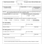 Old Age Pension Plan Application Form United States Examples