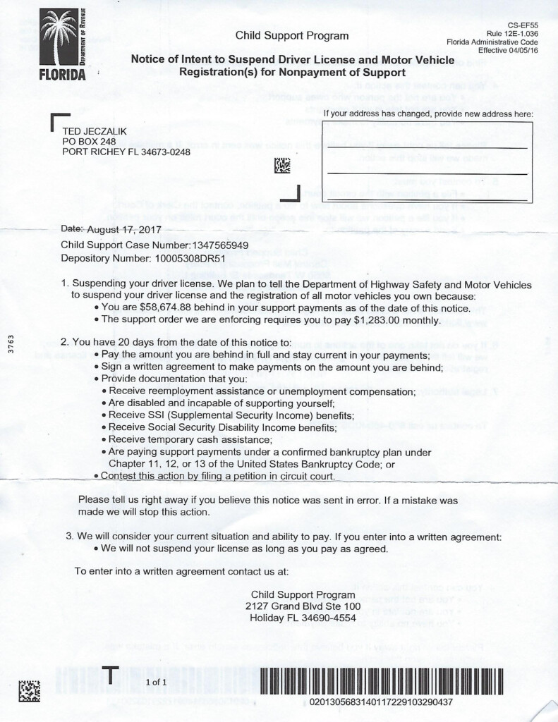 Payment plan for suspended license florida