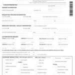 Pregnacy Form Magnolia Health Plan PlanForms