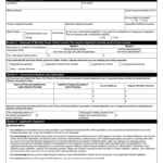 REPAYMENT ASSISTANCE PLAN APPLICATION SDE0080E Fill Out And Sign